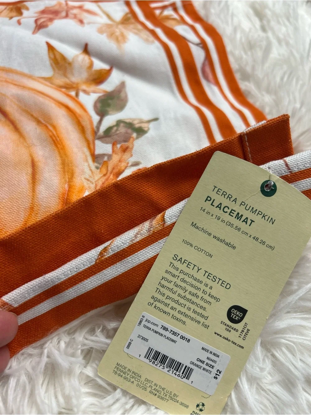 Linden Street Autumn Pumpkin Placemat - Orange & Cream set of 2 NWT cotton
